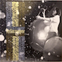 Felix Meyer - Regenwochen und Riesenrad (LIVE CD) Felix Meyer - Regenwochen und Riesenrad (LIVE CD)